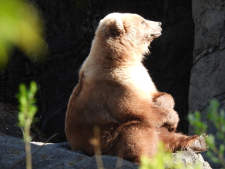 Filename=DSCN3814.JPG
Filesize=7323KiB
Dimensions=4608x3456
Date added=Mar 31, 2024 DSCN3814.JPG