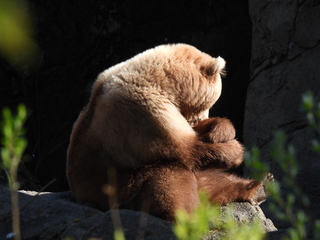 Filename=DSCN3815.JPG
Filesize=6850KiB
Dimensions=4608x3456
Date added=Mar 31, 2024 DSCN3815.JPG