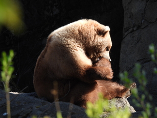 Filename=DSCN3816.JPG
Filesize=6658KiB
Dimensions=4608x3456
Date added=Mar 31, 2024 DSCN3816.JPG