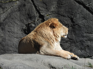 Filename=DSCN3817.JPG
Filesize=7259KiB
Dimensions=4608x3456
Date added=Mar 31, 2024 DSCN3817.JPG