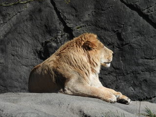 Filename=DSCN3818.JPG
Filesize=7068KiB
Dimensions=4608x3456
Date added=Mar 31, 2024 DSCN3818.JPG