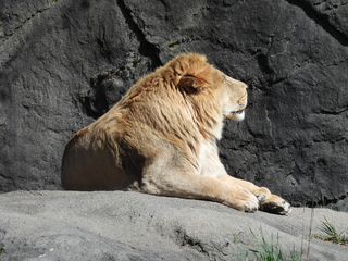 Filename=DSCN3819.JPG
Filesize=7105KiB
Dimensions=4608x3456
Date added=Mar 31, 2024 DSCN3819.JPG