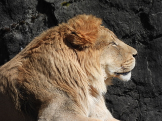 Filename=DSCN3821.JPG
Filesize=7330KiB
Dimensions=4608x3456
Date added=Mar 31, 2024 DSCN3821.JPG