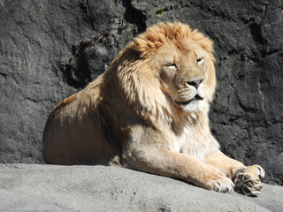 Filename=DSCN3824.JPG
Filesize=7080KiB
Dimensions=4608x3456
Date added=Mar 31, 2024 DSCN3824.JPG