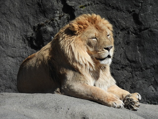 Filename=DSCN3827.JPG
Filesize=6934KiB
Dimensions=4608x3456
Date added=Mar 31, 2024 DSCN3827.JPG