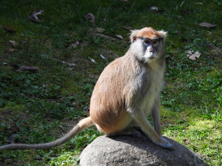 Filename=DSCN3831.JPG
Filesize=6693KiB
Dimensions=4608x3456
Date added=Mar 31, 2024 DSCN3831.JPG