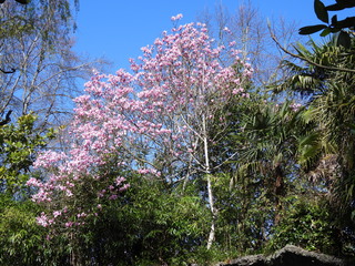 Filename=DSCN3832.JPG
Filesize=7778KiB
Dimensions=4608x3456
Date added=Mar 31, 2024 DSCN3832.JPG