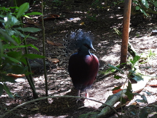 Filename=DSCN6033.JPG
Filesize=6941KiB
Dimensions=4608x3456
Date added=Aug 30, 2025 DSCN6033.JPG