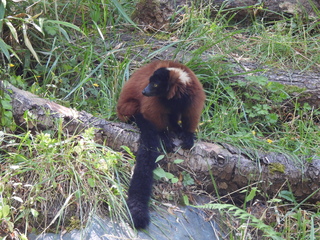 Filename=DSCN6040.JPG
Filesize=7624KiB
Dimensions=4608x3456
Date added=Aug 30, 2025 DSCN6040.JPG