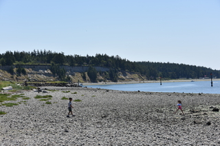 Filename=DSC_1802.JPG
Filesize=21949KiB
Dimensions=7360x4912
Date added=Jul 12, 2020 DSC_1802.JPG