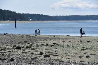 Filename=DSC_1803.JPG
Filesize=21544KiB
Dimensions=7360x4912
Date added=Jul 12, 2020 DSC_1803.JPG