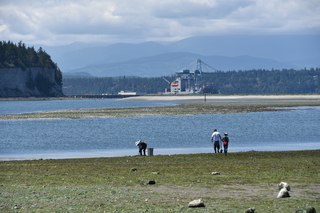 Filename=DSC_1804.JPG
Filesize=20104KiB
Dimensions=7360x4912
Date added=Jul 12, 2020 DSC_1804.JPG