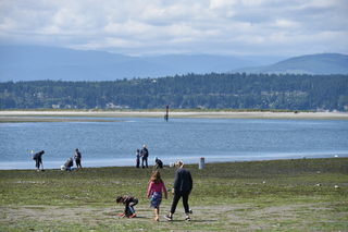 Filename=DSC_1805.JPG
Filesize=19855KiB
Dimensions=7360x4912
Date added=Jul 12, 2020 DSC_1805.JPG