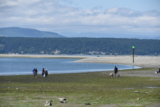 Filename=DSC_1806.JPG
Filesize=19422KiB
Dimensions=7360x4912
Date added=Jul 12, 2020 DSC_1806.JPG