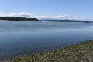 Filename=DSC_1810.JPG
Filesize=20170KiB
Dimensions=7360x4912
Date added=Jul 12, 2020 DSC_1810.JPG