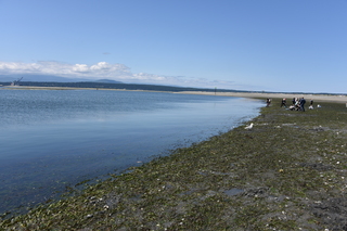 Filename=DSC_1811.JPG
Filesize=21129KiB
Dimensions=7360x4912
Date added=Jul 12, 2020 DSC_1811.JPG