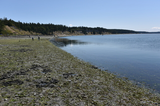 Filename=DSC_1812.JPG
Filesize=24252KiB
Dimensions=7360x4912
Date added=Jul 12, 2020 DSC_1812.JPG