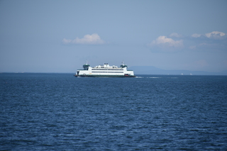 Filename=DSC_1813.JPG
Filesize=15873KiB
Dimensions=7360x4912
Date added=Jul 12, 2020 DSC_1813.JPG