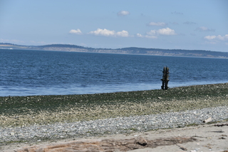 Filename=DSC_1814.JPG
Filesize=21022KiB
Dimensions=7360x4912
Date added=Jul 12, 2020 DSC_1814.JPG