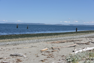 Filename=DSC_1815.JPG
Filesize=21640KiB
Dimensions=7360x4912
Date added=Jul 12, 2020 DSC_1815.JPG