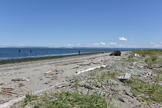 Filename=DSC_1816.JPG
Filesize=22470KiB
Dimensions=7360x4912
Date added=Jul 12, 2020 DSC_1816.JPG