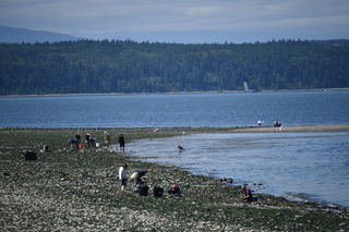 Filename=DSC_1819.JPG
Filesize=18345KiB
Dimensions=7360x4912
Date added=Jul 12, 2020 DSC_1819.JPG