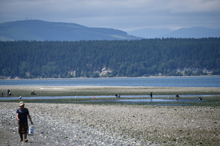 Filename=DSC_1821.JPG
Filesize=18493KiB
Dimensions=7360x4912
Date added=Jul 12, 2020 DSC_1821.JPG