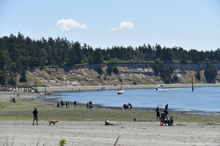 Filename=DSC_1824.JPG
Filesize=20271KiB
Dimensions=7360x4912
Date added=Jul 12, 2020 DSC_1824.JPG