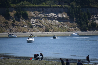 Filename=DSC_1825.JPG
Filesize=17950KiB
Dimensions=7360x4912
Date added=Jul 12, 2020 DSC_1825.JPG