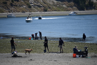 Filename=DSC_1826.JPG
Filesize=18346KiB
Dimensions=7360x4912
Date added=Jul 12, 2020 DSC_1826.JPG