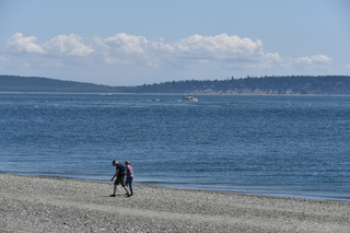 Filename=DSC_1827.JPG
Filesize=21037KiB
Dimensions=7360x4912
Date added=Jul 12, 2020 DSC_1827.JPG