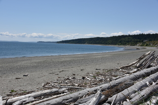 Filename=DSC_1831.JPG
Filesize=21917KiB
Dimensions=7360x4912
Date added=Jul 12, 2020 DSC_1831.JPG