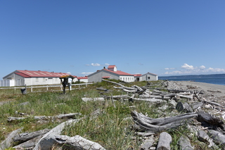 Filename=DSC_1832.JPG
Filesize=21459KiB
Dimensions=7360x4912
Date added=Jul 12, 2020 DSC_1832.JPG