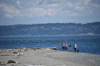 Filename=DSC_1833.JPG
Filesize=15923KiB
Dimensions=7360x4912
Date added=Jul 12, 2020 DSC_1833.JPG