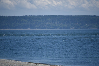 Filename=DSC_1834.JPG
Filesize=17055KiB
Dimensions=7360x4912
Date added=Jul 12, 2020 DSC_1834.JPG