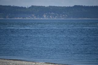 Filename=DSC_1835.JPG
Filesize=16811KiB
Dimensions=7360x4912
Date added=Jul 12, 2020 DSC_1835.JPG