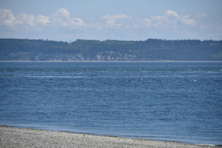 Filename=DSC_1836.JPG
Filesize=17982KiB
Dimensions=7360x4912
Date added=Jul 12, 2020 DSC_1836.JPG