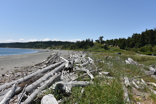 Filename=DSC_1837.JPG
Filesize=22867KiB
Dimensions=7360x4912
Date added=Jul 12, 2020 DSC_1837.JPG