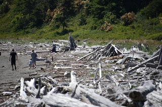 Filename=DSC_1839.JPG
Filesize=19002KiB
Dimensions=7360x4912
Date added=Jul 12, 2020 DSC_1839.JPG