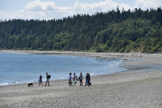 Filename=DSC_1840.JPG
Filesize=21584KiB
Dimensions=7360x4912
Date added=Jul 12, 2020 DSC_1840.JPG