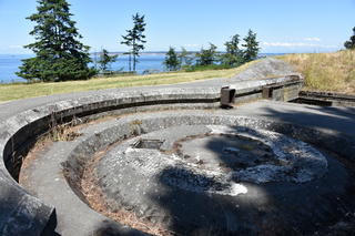 Filename=DSC_1846.JPG
Filesize=24227KiB
Dimensions=7360x4912
Date added=Jul 12, 2020 DSC_1846.JPG