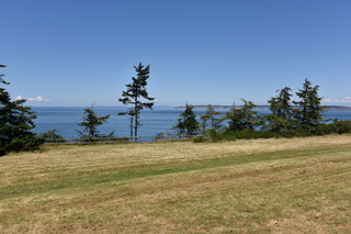 Filename=DSC_1850.JPG
Filesize=21829KiB
Dimensions=7360x4912
Date added=Jul 12, 2020 DSC_1850.JPG