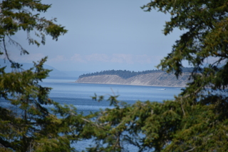 Filename=DSC_1857.JPG
Filesize=15798KiB
Dimensions=7360x4912
Date added=Jul 12, 2020 DSC_1857.JPG