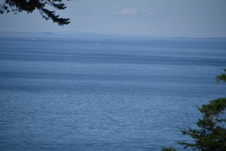 Filename=DSC_1858.JPG
Filesize=16602KiB
Dimensions=7360x4912
Date added=Jul 12, 2020 DSC_1858.JPG