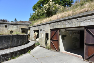 Filename=DSC_1866.JPG
Filesize=24329KiB
Dimensions=7360x4912
Date added=Jul 12, 2020 DSC_1866.JPG