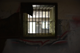 Filename=DSC_1870.JPG
Filesize=14270KiB
Dimensions=7360x4912
Date added=Jul 12, 2020 DSC_1870.JPG