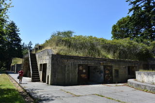 Filename=DSC_1875.JPG
Filesize=22336KiB
Dimensions=7360x4912
Date added=Jul 12, 2020 DSC_1875.JPG