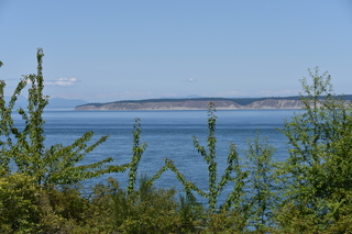 Filename=DSC_1878.JPG
Filesize=20537KiB
Dimensions=7360x4912
Date added=Jul 12, 2020 DSC_1878.JPG