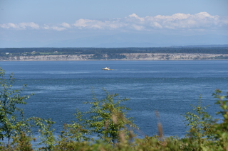 Filename=DSC_1879.JPG
Filesize=18327KiB
Dimensions=7360x4912
Date added=Jul 12, 2020 DSC_1879.JPG