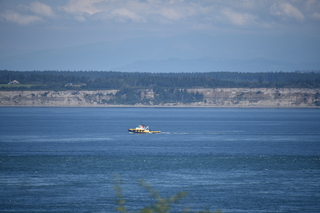 Filename=DSC_1880.JPG
Filesize=16165KiB
Dimensions=7360x4912
Date added=Jul 12, 2020 DSC_1880.JPG